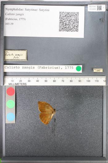 Media type: image;   Entomology 102804